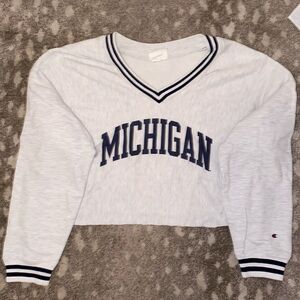 University of Michigan cropped sweatshirt